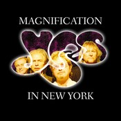 Magnification In New York